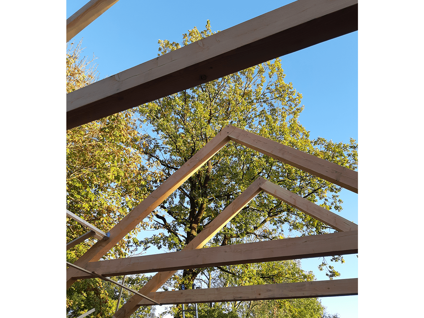 Bouwmanagement - Vestus diensten